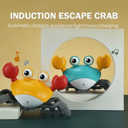 Crawling Crab Toy